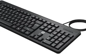 HP Wired Keyboard
